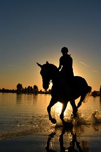 Horse riding 