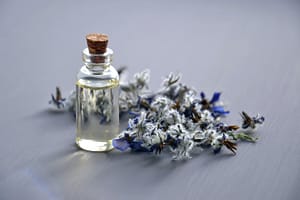 Lavender 