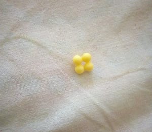 Earring cluster 